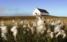Fair Isle