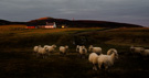 Fair Isle