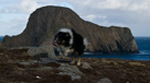 Sheep Rock