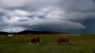 Cloudscape