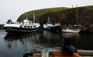 Fair Isle
